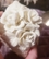 Фарфоровая шкатулка Белые розы 2 от автора  от Lladro и других бренды 4